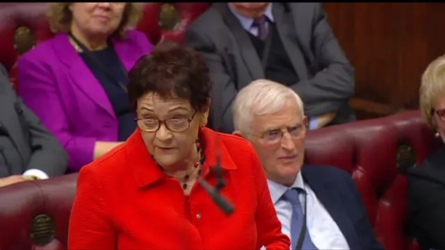 Baroness Ludford