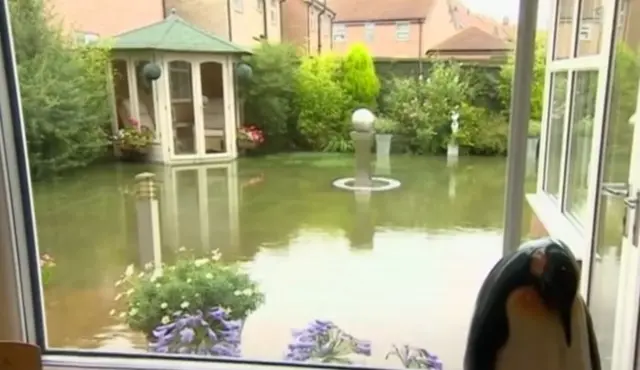 A flooded garden