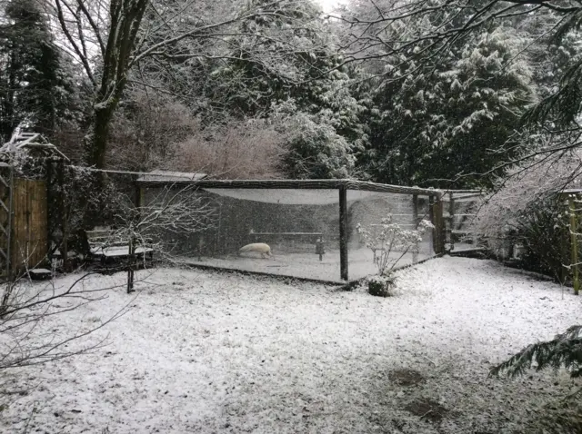 Snow in Hollinsclough