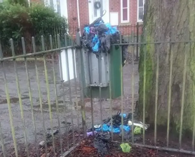 Overflowing dog poo bin