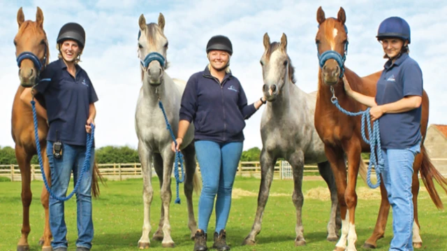 Bransby Horses