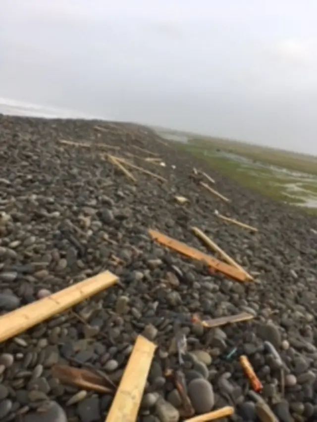 Timber on beach