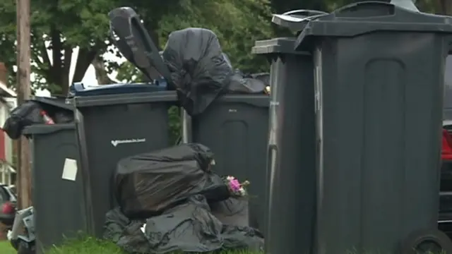 Bins in Birmingham