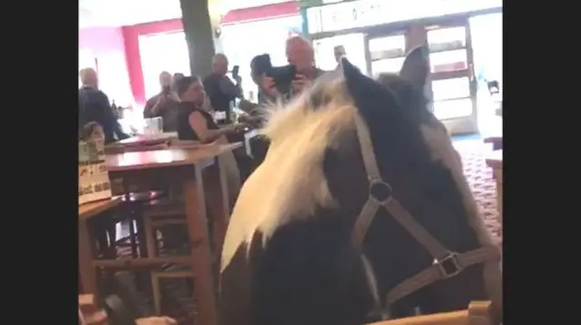 Horse in pub