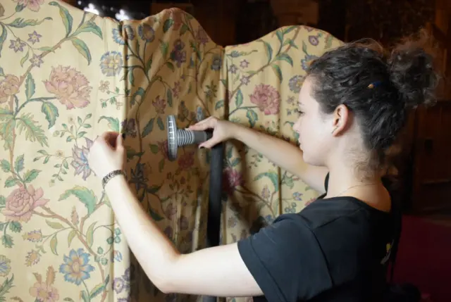 Conservator at work