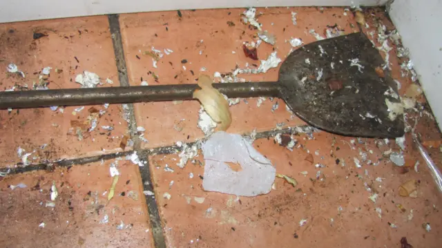 Contamination on the floor of Toro’s Express