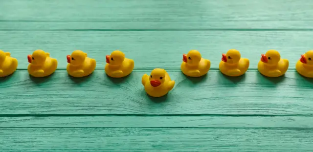 Rubber ducks