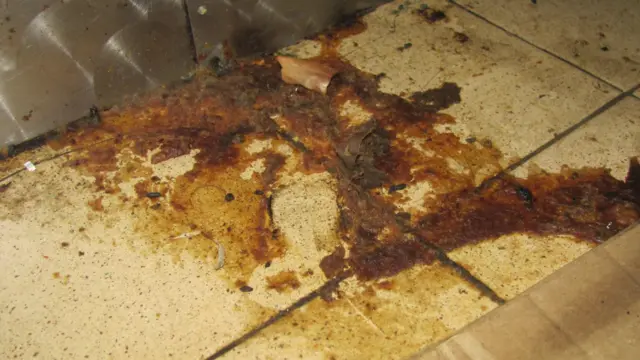 Contamination on the floor of Toro’s Express
