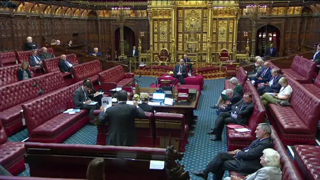 The House of Lords