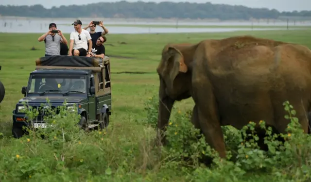 England team with elephants