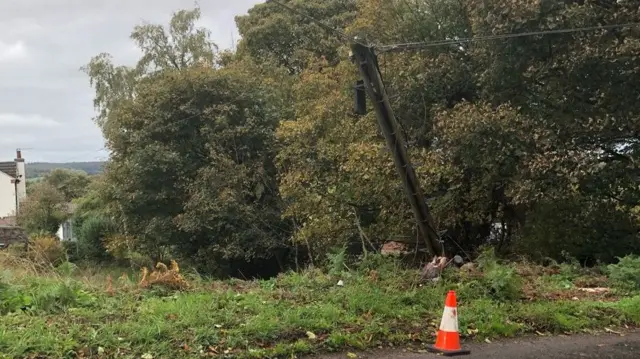 Tree down on B5032