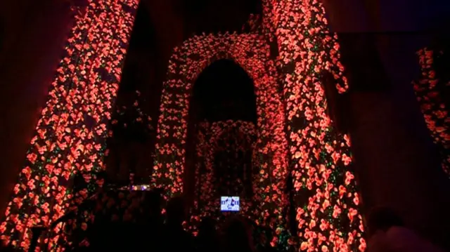 Poppy sound and light display