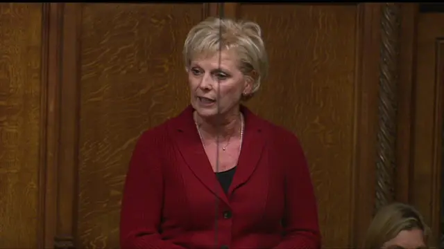 Anna Soubry