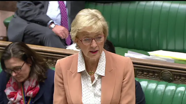 Andrea Leadsom