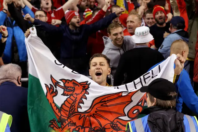 Wales fan