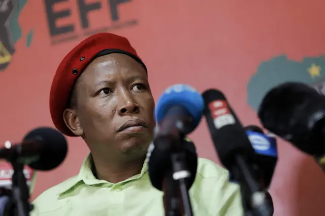 Julius Malema