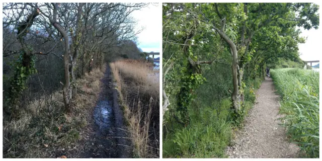 cycle path