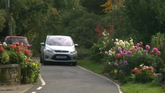 The flowers beside the road