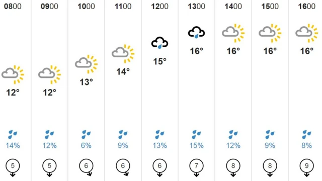 Weather