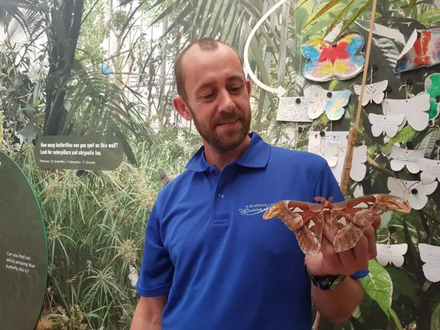 Man with moth