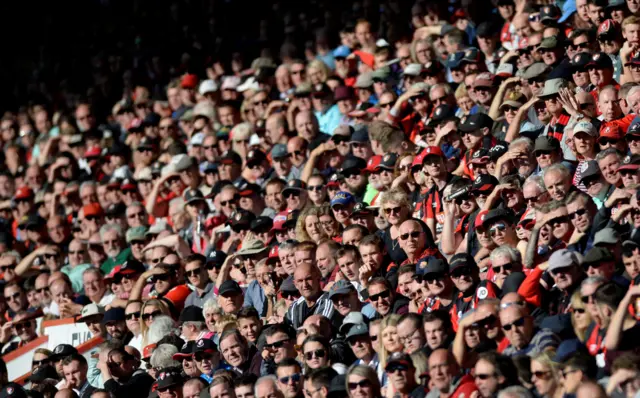 Bournemouth fans