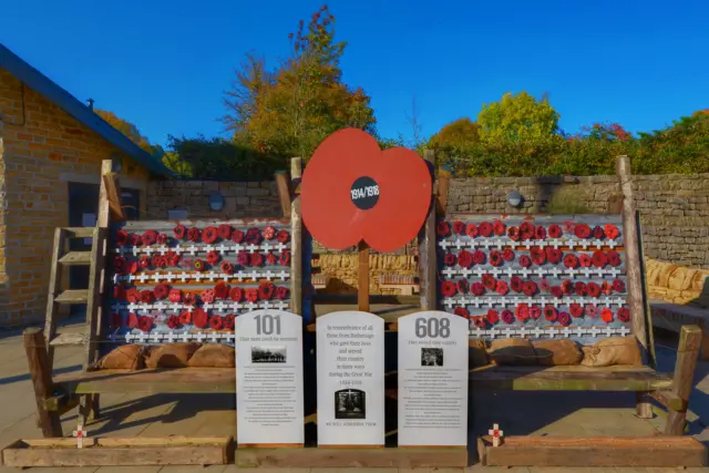 Hathersage poppy display