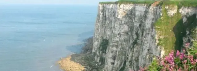 Bempton Cliffs