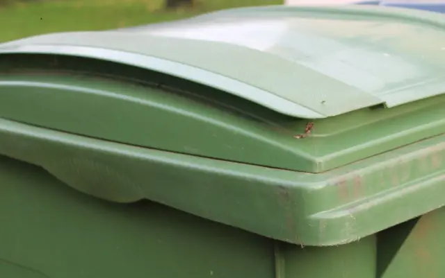 Green bins