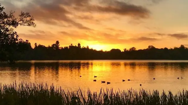 Ellesmere