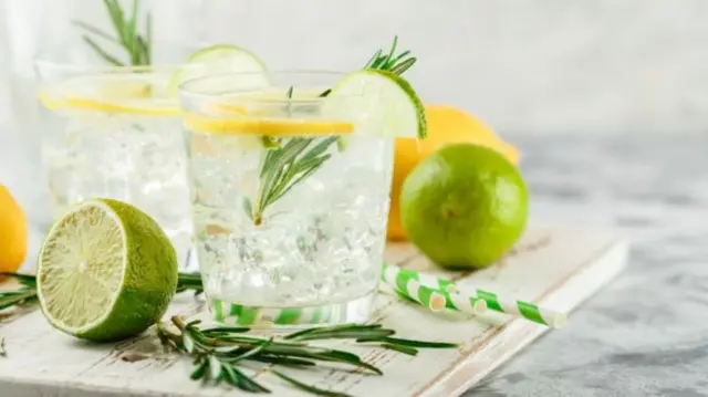 A gin and tonic