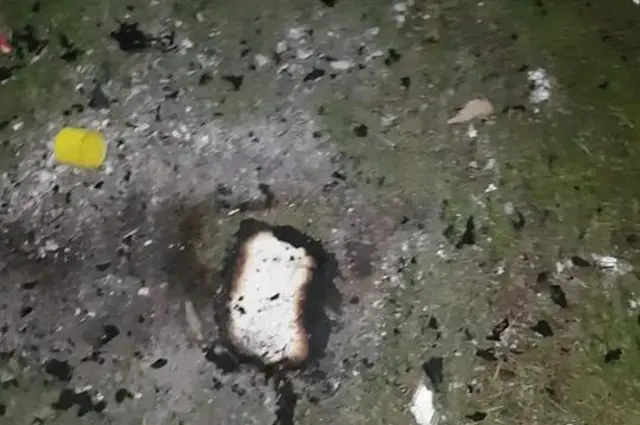 The fire pit where the animal is believed to have been set on fire