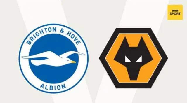 Brighton and Wolves badge