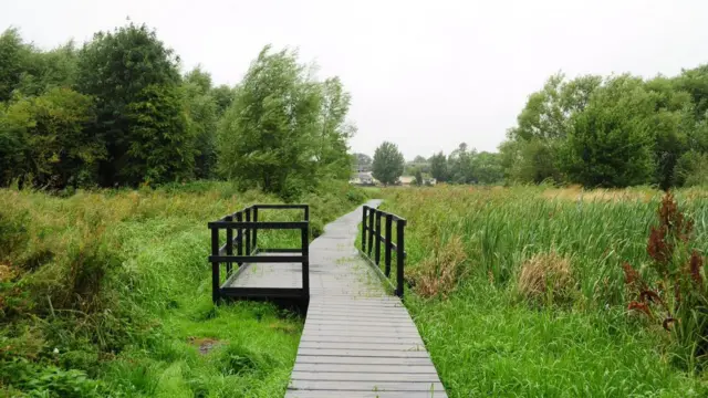 Warwickshire Moor Nature Reserve