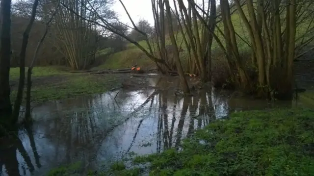 A flooded stream