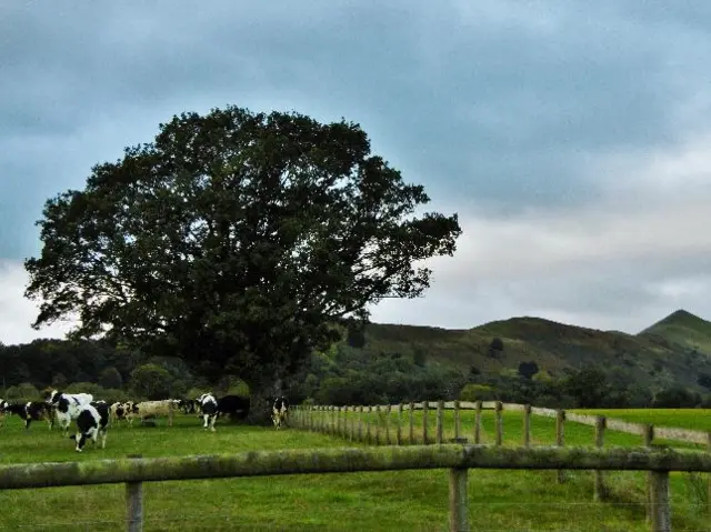 Longnor