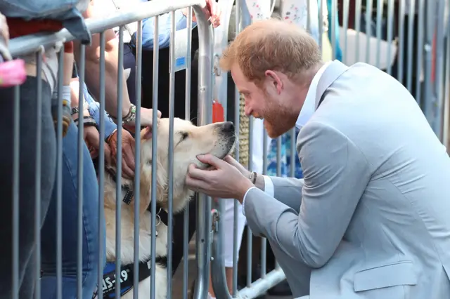 Duke of Sussex and dog