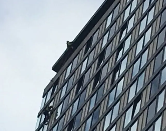 Abseil team on St Paul's Tower