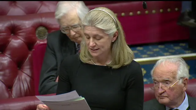 Baroness Stroud