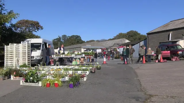 Hatherleigh cattle market