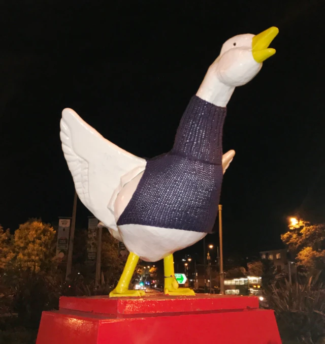 Goose in jumper