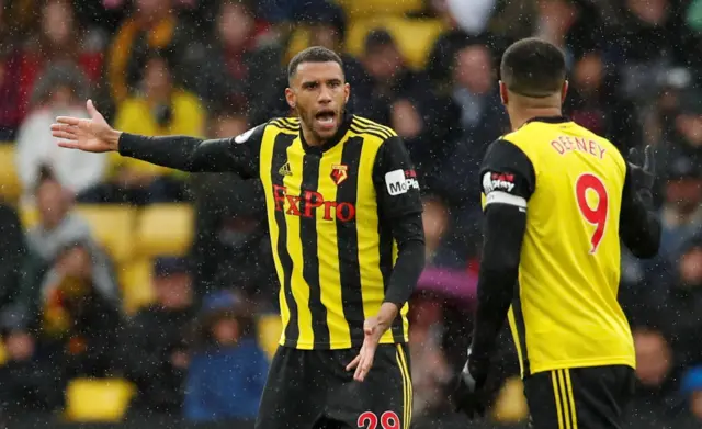 Etienne Capoue and Troy Deeney