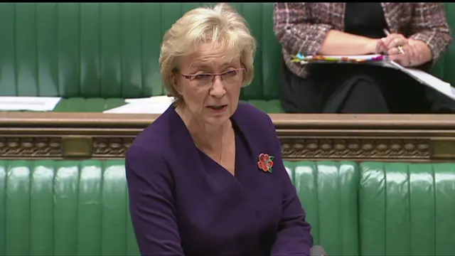 Andrea Leadsom