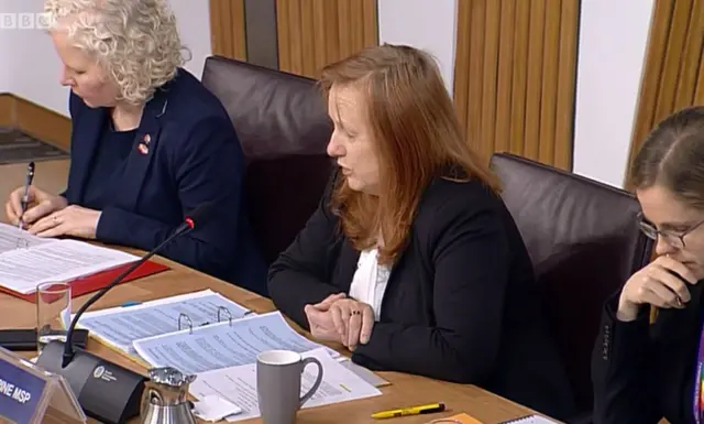 Committee chair Joan McAlpine