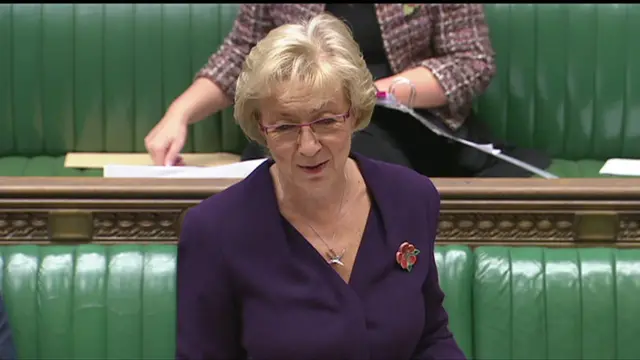 Andrea Leadsom