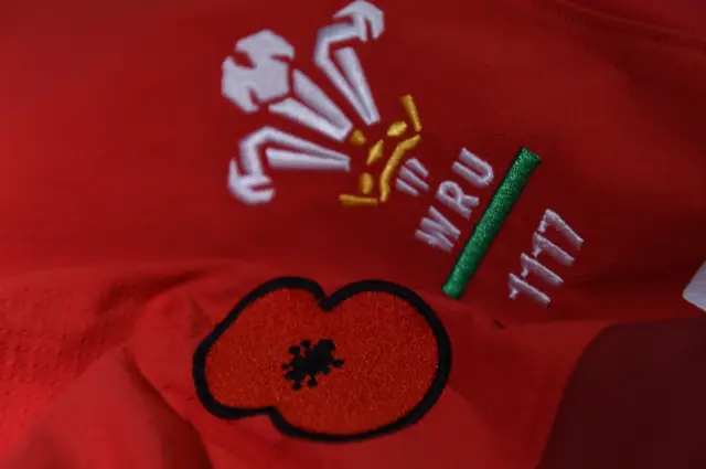 Poppy on Wales shirt