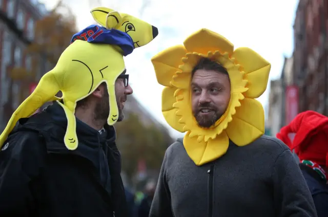 Wales fans