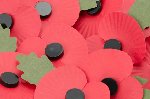 Poppies