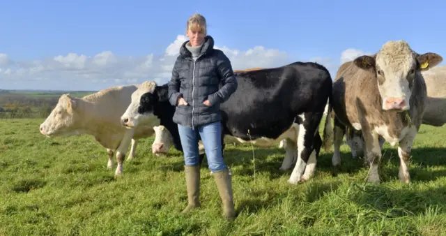 Minette Batters in a field with some cows