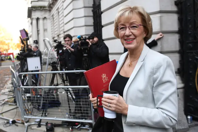 Leader of the House of Commons Andrea Leadsom