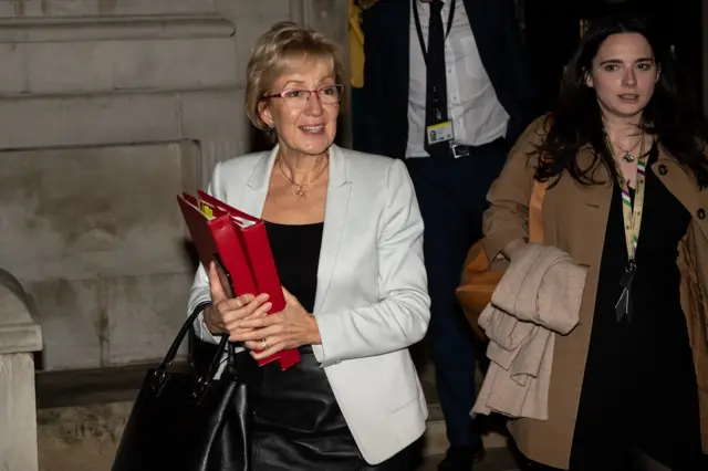 Andrea Leadsom